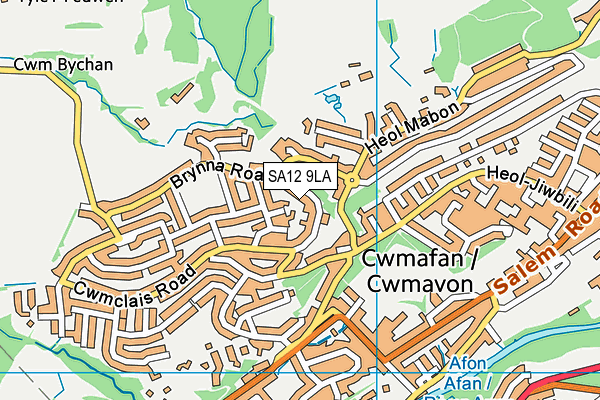 SA12 9LA map - OS VectorMap District (Ordnance Survey)