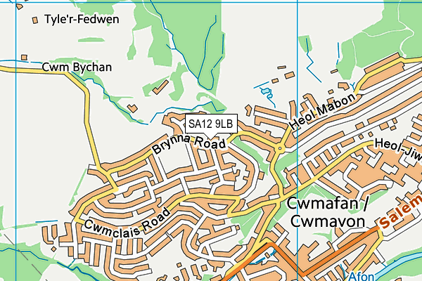 SA12 9LB map - OS VectorMap District (Ordnance Survey)