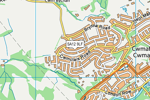 SA12 9LF map - OS VectorMap District (Ordnance Survey)