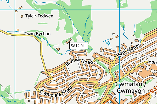 SA12 9LJ map - OS VectorMap District (Ordnance Survey)