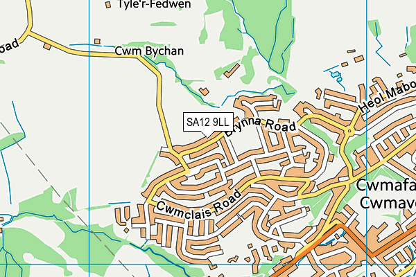SA12 9LL map - OS VectorMap District (Ordnance Survey)