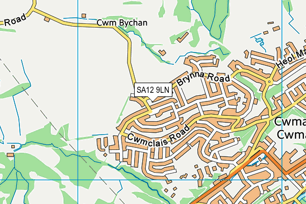 SA12 9LN map - OS VectorMap District (Ordnance Survey)