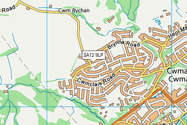 SA12 9LP map - OS VectorMap District (Ordnance Survey)