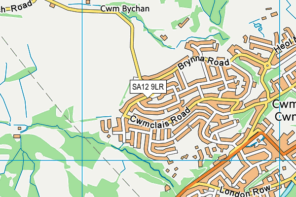 SA12 9LR map - OS VectorMap District (Ordnance Survey)