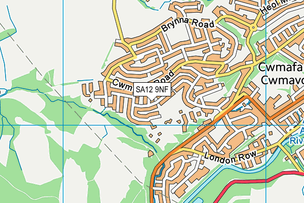 SA12 9NF map - OS VectorMap District (Ordnance Survey)