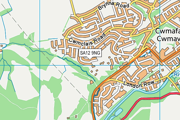 SA12 9NG map - OS VectorMap District (Ordnance Survey)