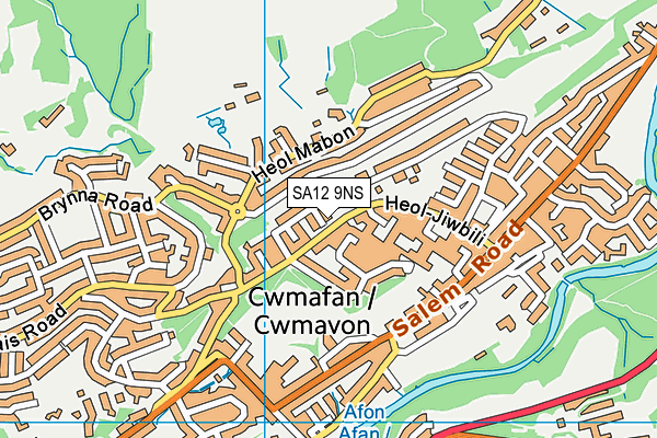 SA12 9NS map - OS VectorMap District (Ordnance Survey)