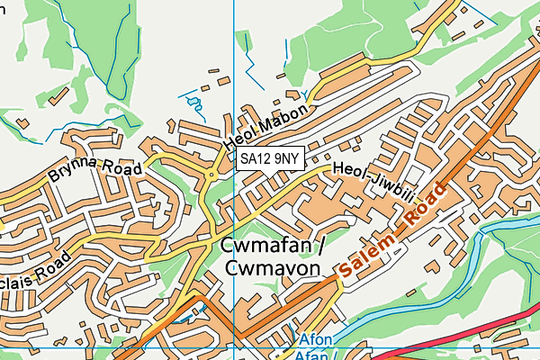 SA12 9NY map - OS VectorMap District (Ordnance Survey)