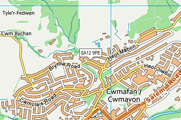 SA12 9PE map - OS VectorMap District (Ordnance Survey)