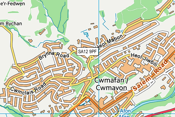 SA12 9PF map - OS VectorMap District (Ordnance Survey)