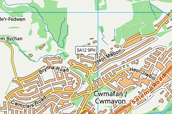 SA12 9PH map - OS VectorMap District (Ordnance Survey)