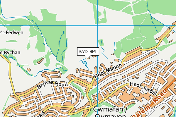 SA12 9PL map - OS VectorMap District (Ordnance Survey)