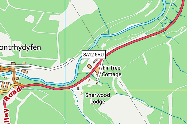 SA12 9RU map - OS VectorMap District (Ordnance Survey)