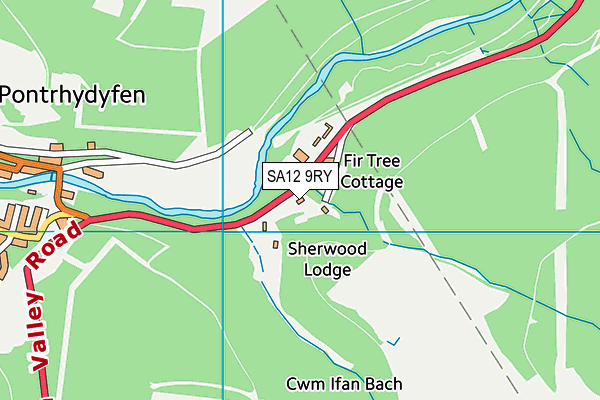 SA12 9RY map - OS VectorMap District (Ordnance Survey)