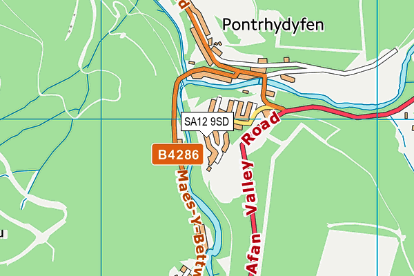 SA12 9SD map - OS VectorMap District (Ordnance Survey)