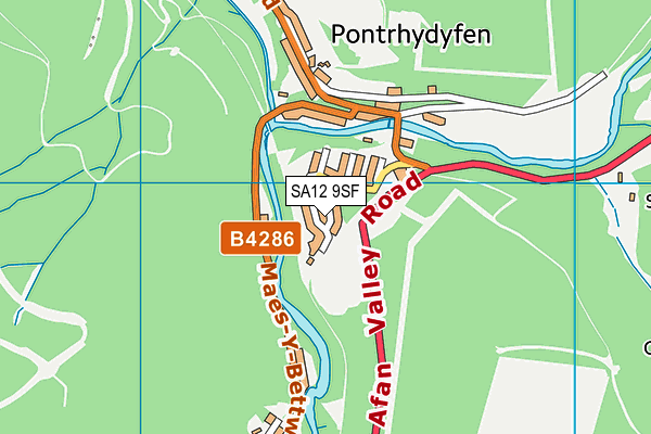 SA12 9SF map - OS VectorMap District (Ordnance Survey)