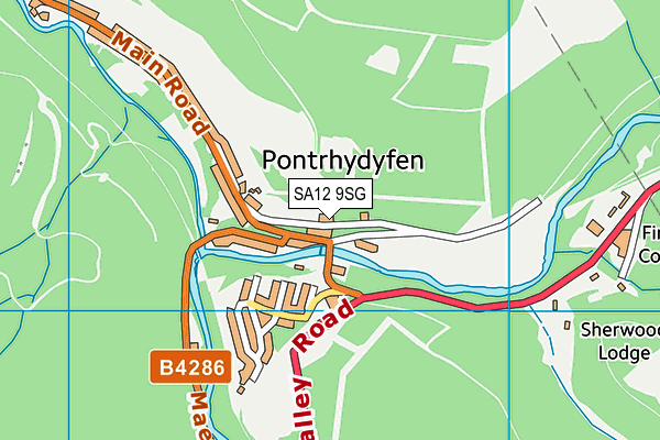 SA12 9SG map - OS VectorMap District (Ordnance Survey)