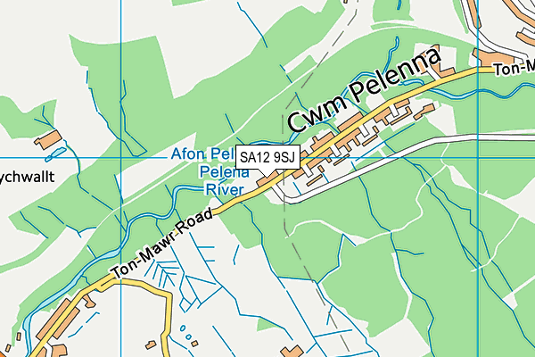 SA12 9SJ map - OS VectorMap District (Ordnance Survey)