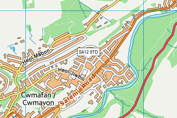 SA12 9TD map - OS VectorMap District (Ordnance Survey)