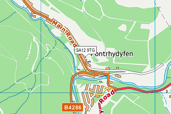 SA12 9TG map - OS VectorMap District (Ordnance Survey)