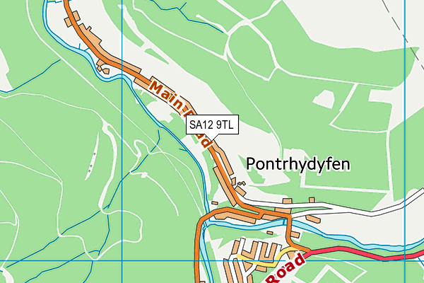 SA12 9TL map - OS VectorMap District (Ordnance Survey)