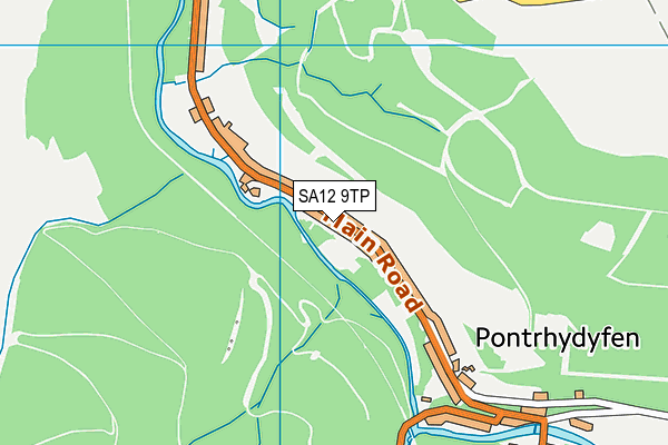 SA12 9TP map - OS VectorMap District (Ordnance Survey)