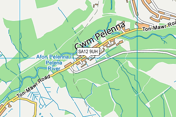 SA12 9UH map - OS VectorMap District (Ordnance Survey)