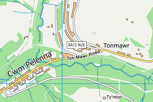 SA12 9UX map - OS VectorMap District (Ordnance Survey)