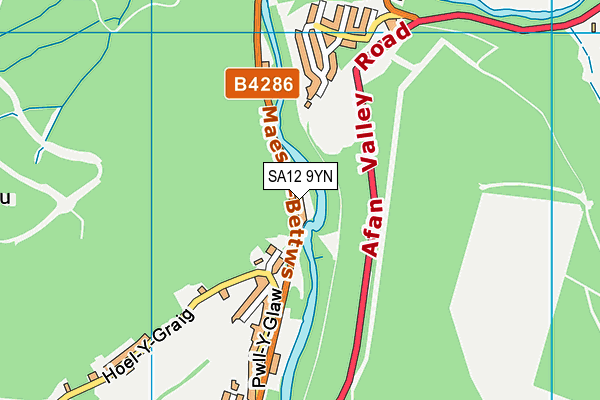 SA12 9YN map - OS VectorMap District (Ordnance Survey)