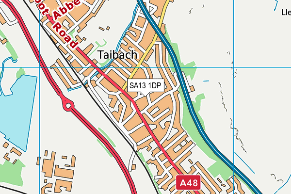 SA13 1DP map - OS VectorMap District (Ordnance Survey)