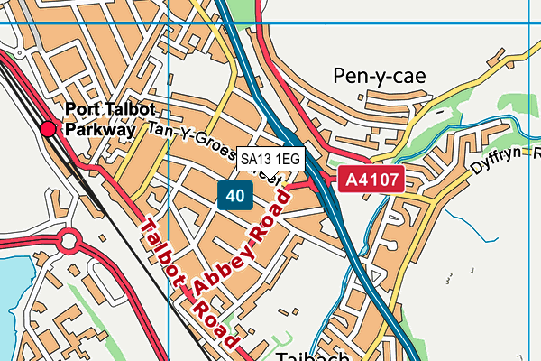 SA13 1EG map - OS VectorMap District (Ordnance Survey)