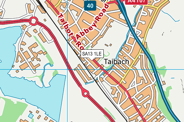 SA13 1LE map - OS VectorMap District (Ordnance Survey)