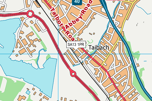 SA13 1PR map - OS VectorMap District (Ordnance Survey)