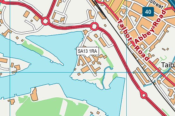 SA13 1RA map - OS VectorMap District (Ordnance Survey)