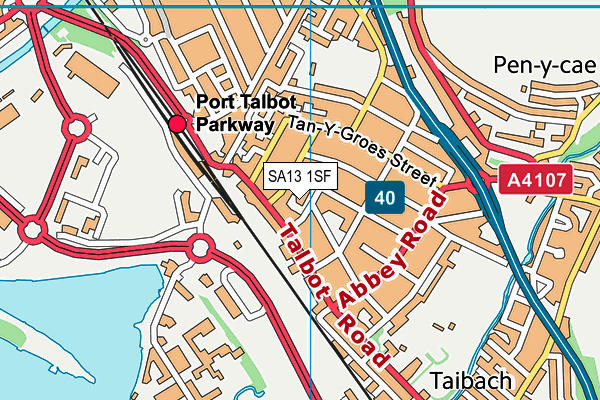 SA13 1SF map - OS VectorMap District (Ordnance Survey)