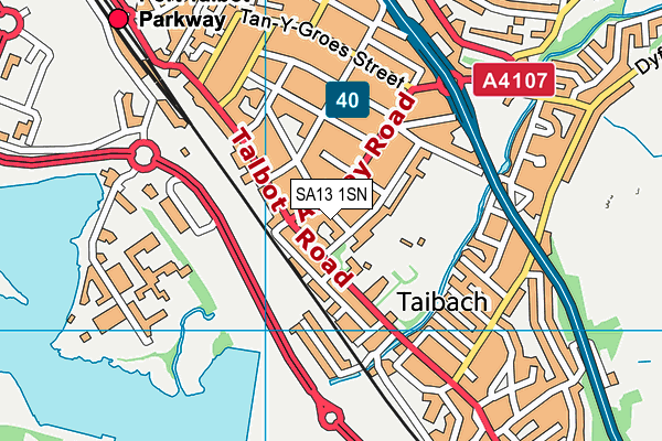 SA13 1SN map - OS VectorMap District (Ordnance Survey)