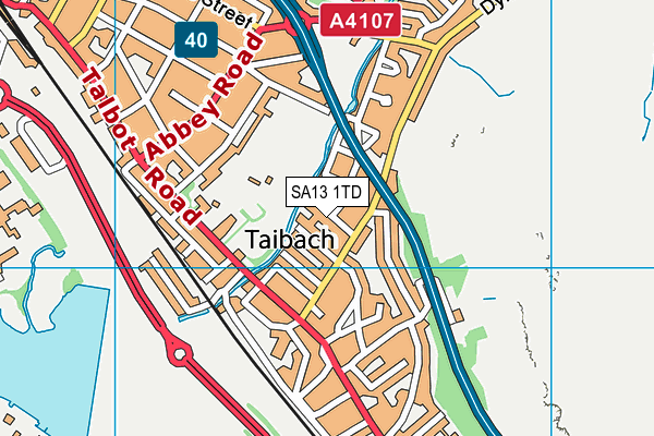 SA13 1TD map - OS VectorMap District (Ordnance Survey)