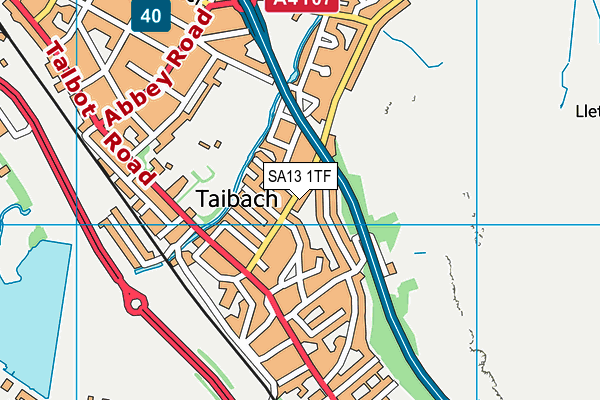 SA13 1TF map - OS VectorMap District (Ordnance Survey)