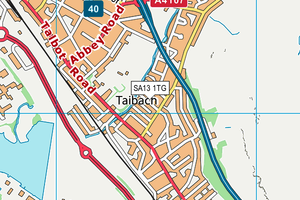 SA13 1TG map - OS VectorMap District (Ordnance Survey)