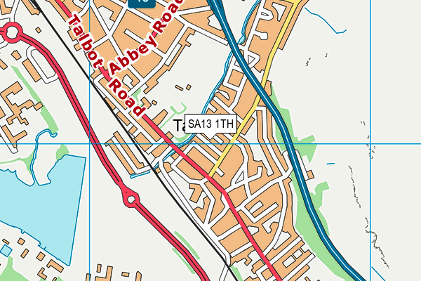 SA13 1TH map - OS VectorMap District (Ordnance Survey)