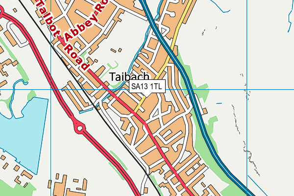 SA13 1TL map - OS VectorMap District (Ordnance Survey)