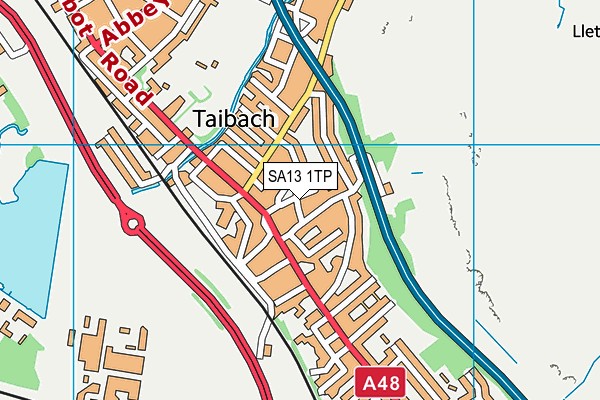 SA13 1TP map - OS VectorMap District (Ordnance Survey)
