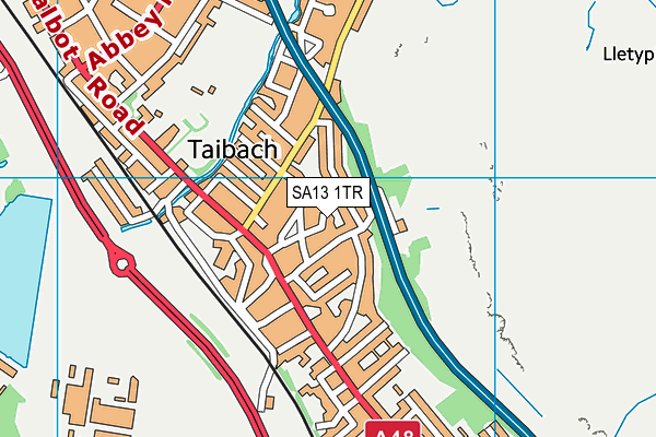 SA13 1TR map - OS VectorMap District (Ordnance Survey)