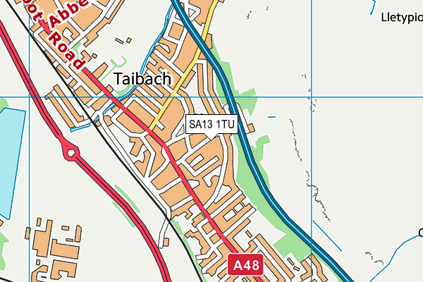 SA13 1TU map - OS VectorMap District (Ordnance Survey)