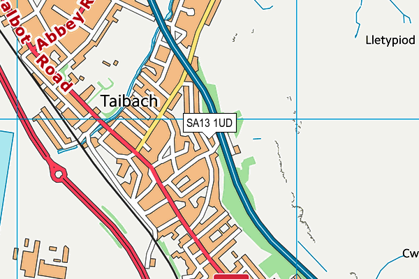 SA13 1UD map - OS VectorMap District (Ordnance Survey)