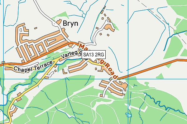 SA13 2RG map - OS VectorMap District (Ordnance Survey)