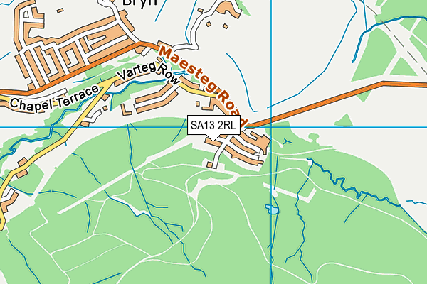 SA13 2RL map - OS VectorMap District (Ordnance Survey)