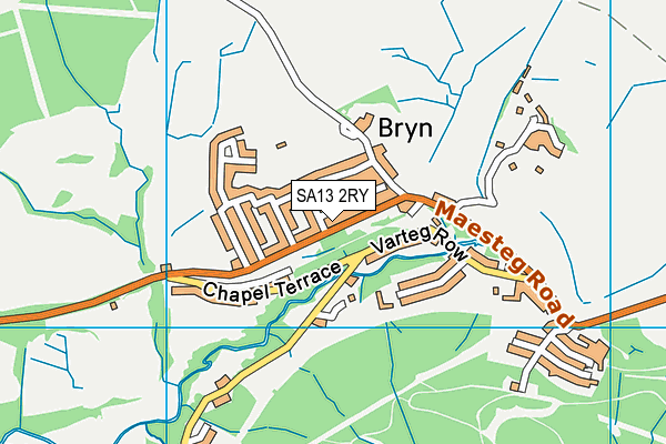 SA13 2RY map - OS VectorMap District (Ordnance Survey)