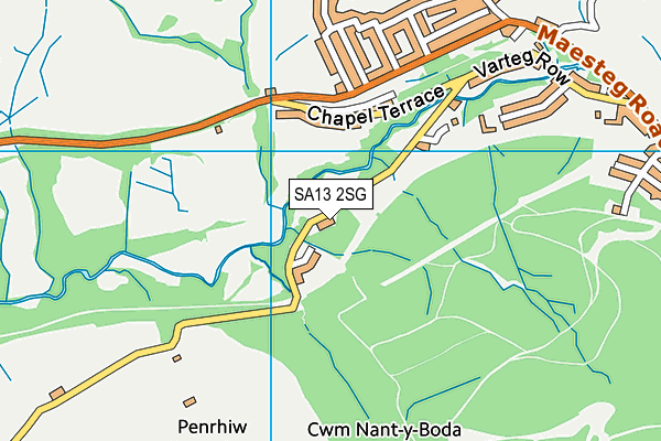 SA13 2SG map - OS VectorMap District (Ordnance Survey)