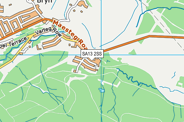 SA13 2SS map - OS VectorMap District (Ordnance Survey)